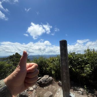 いただきます！