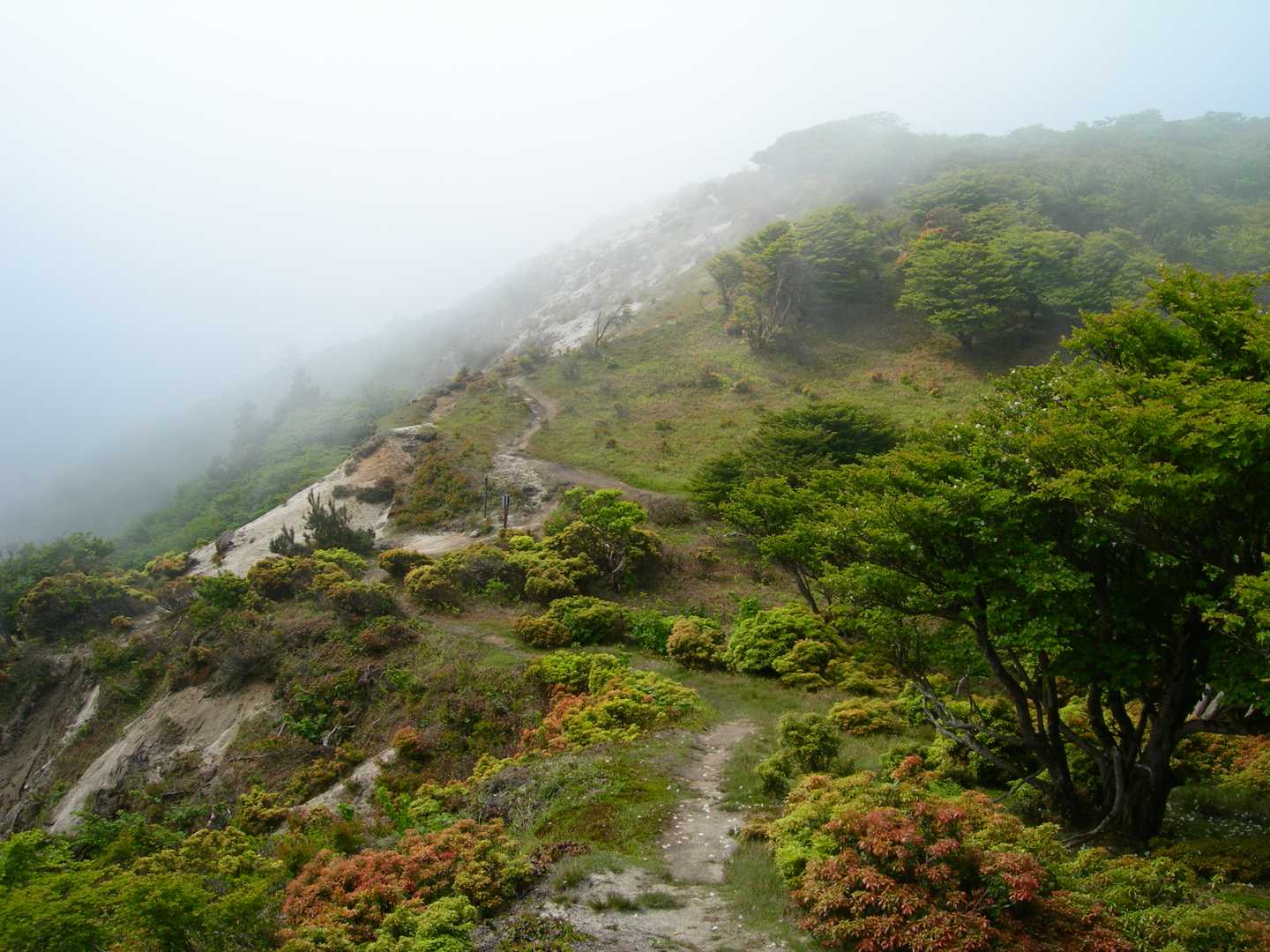 石榑峠-三池岳-八風峠-北仙香山-中峠 往復コースの写真