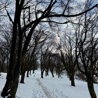 大好きな雰囲気の場所です。
春には桜🌸🌸🌸並木になります🤗