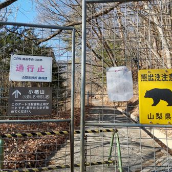 帰りも長い林道を歩いてゴール🥾