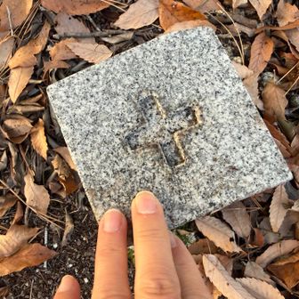 結構な急登を頑張って登って、三角点タッチ