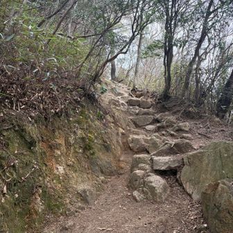 なかなかの登りです💦