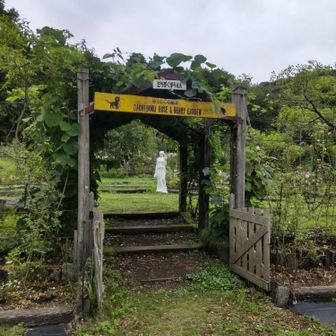 たちぼくバラ園