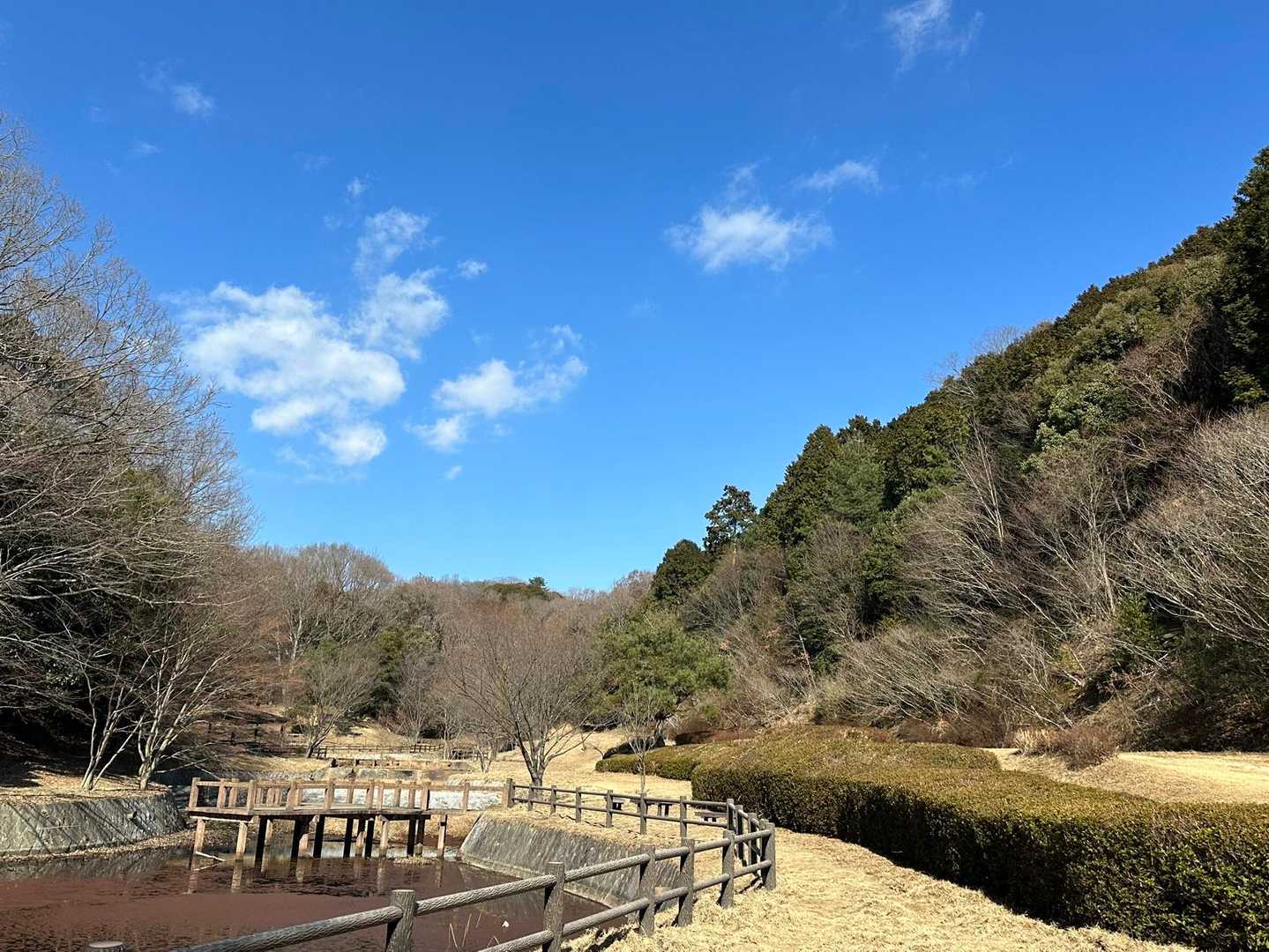 随願寺-増位山 往復コースの写真