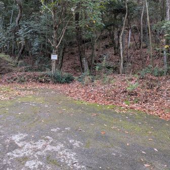 久々、小高御位山から登ります