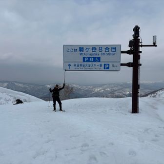 やってみたかったやつ