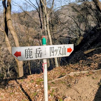 マメガタ峠、👇四ツ又山登山口へ降りれます。