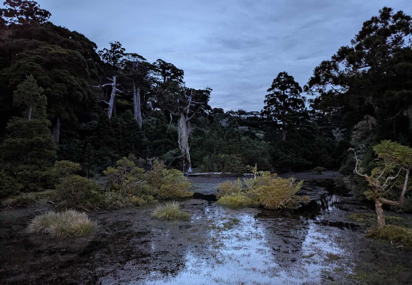 見事✨✨
上高地にも負けない🙂