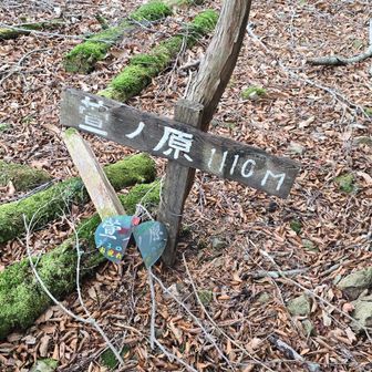 おつかれ山～⛰️遠かったん