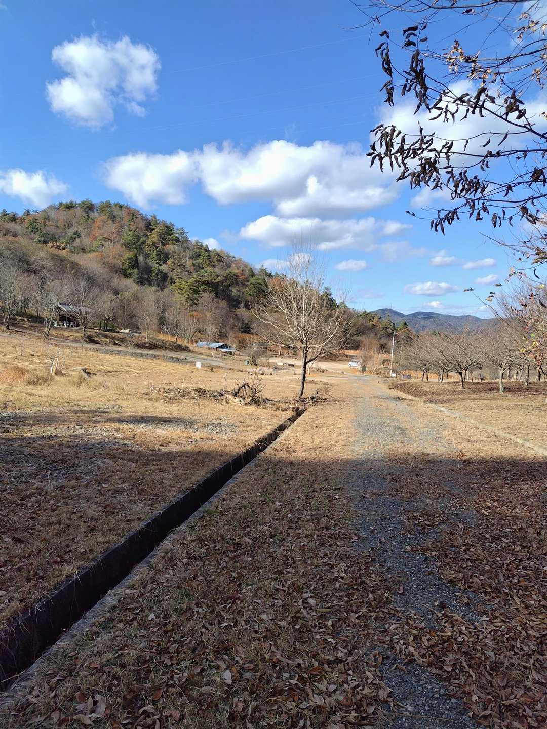 駐車場に到着です。