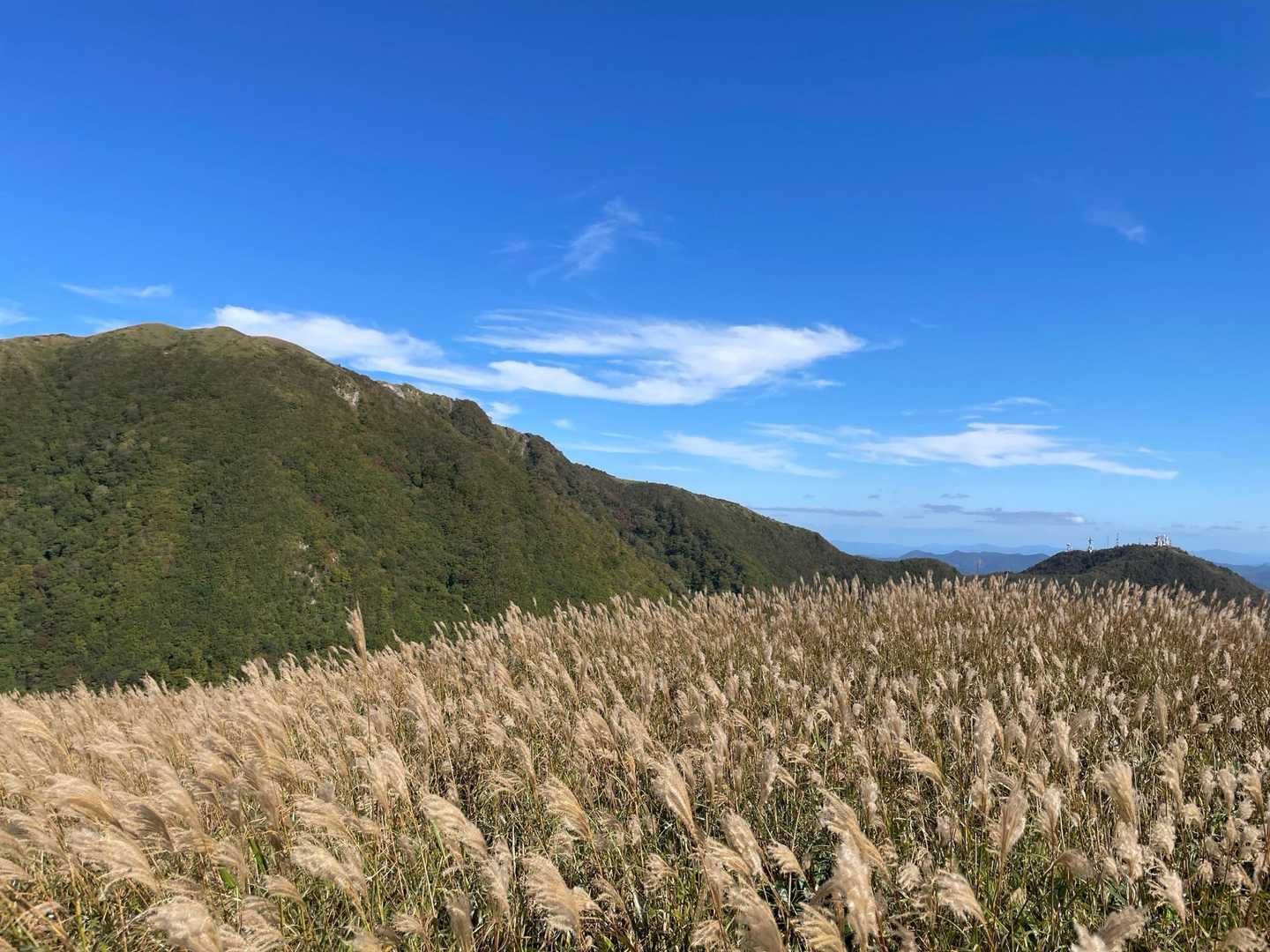 子三瓶山⛰️から男三瓶山⛰️