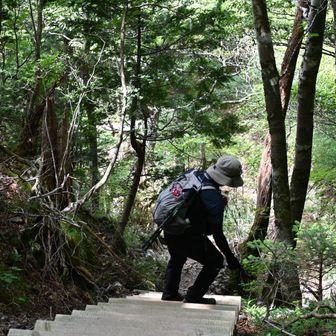 下りはより慎重に
