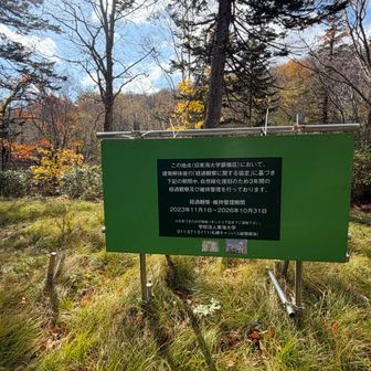 山小屋（銀嶺荘）の跡地。