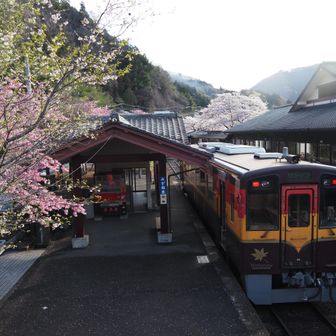 水沼駅です
桜がちょうど見頃
まだ晴れてるし、どうしようかな