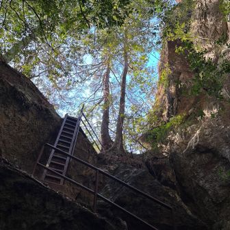 🪜梯子がいっぱい