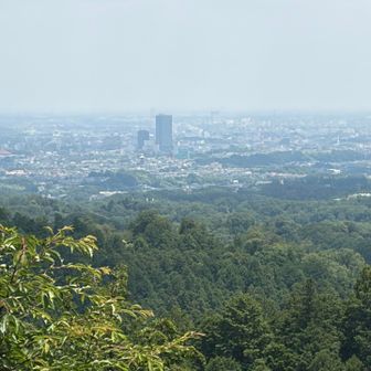 わーい
