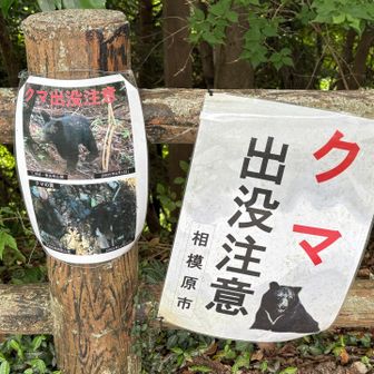 今朝も映ってたそうです。