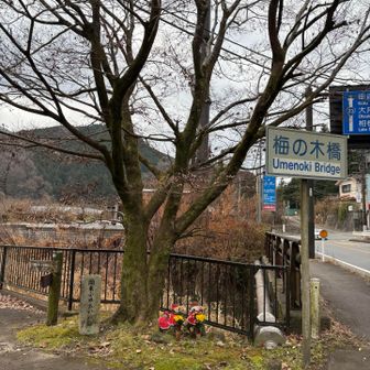 関東ふれあいの道　石碑あります