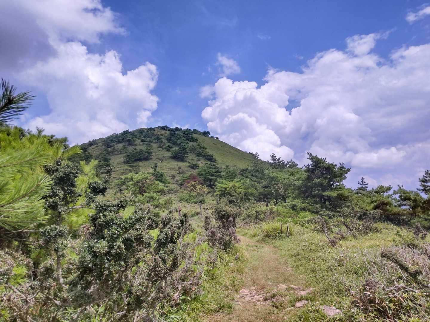 鳩ヶ峰-大江山-鍋塚 周回コースの写真
