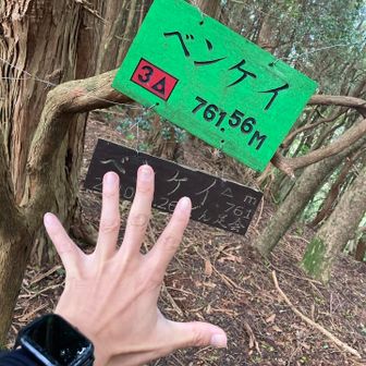 ベンケイ標識いっぱい