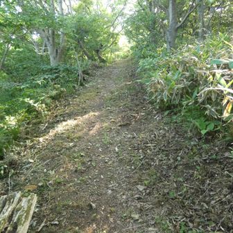 猿山口から登るルートまで来るとキレイに刈られていた。地区の方々、他の事で忙しいだろうに。