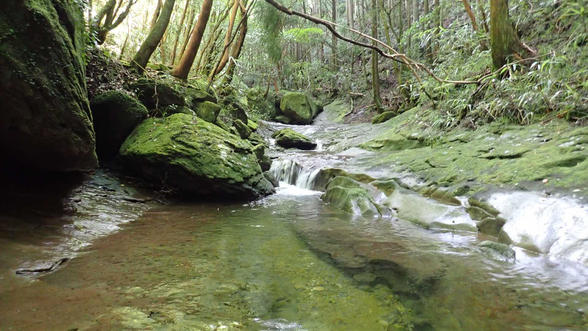百間山 周回コースの写真