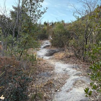 いい感じの山道です😊