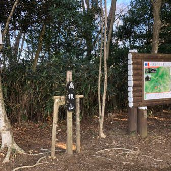 高根山山頂