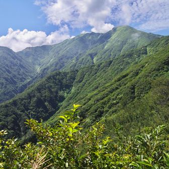 激下りを降りて振り返ると前朳差が遥か上に。
降りてわかるが、このルートとんでもなく登る。
三大急登を二つ登ったがその比じゃないくらいの斜度だった。
カモス峰から橋による渡河地点まではさらに傾斜はキツくなり、ほぼ壁みたいになる。
それが一箇所二箇所ではなく延々と続く。
水場もなく、斜度も距離もとんでもないルートだ。