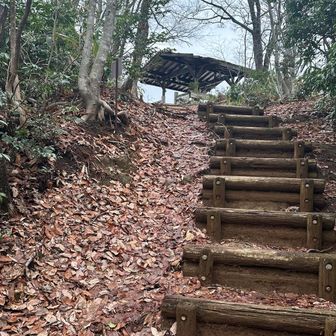 眺望はハナから諦めており体幹トレやってます