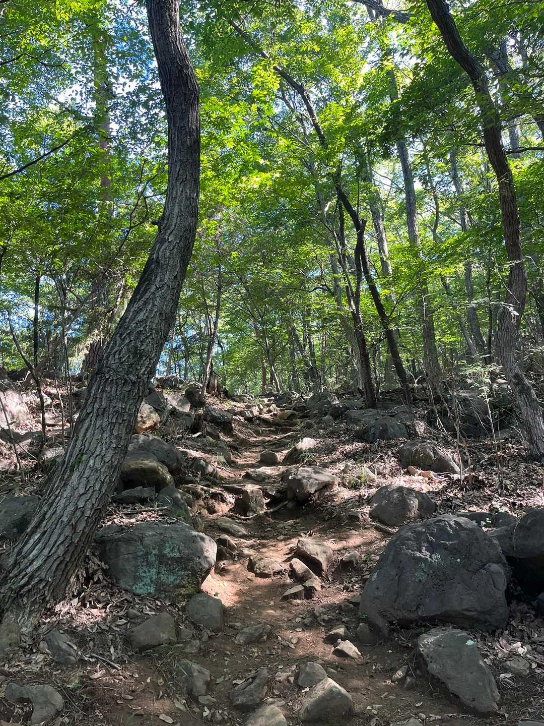 初めての石段コースをトラバースするルートで法泉寺山を目指します🚶‍♂️