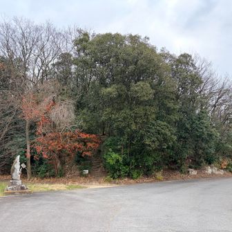 雨山登山口⬆️