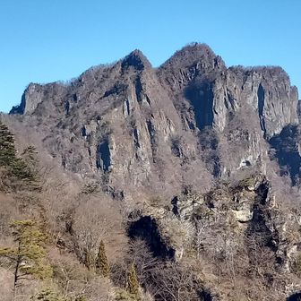 バディの今年の目標は白雲山側の稜線歩き
びびり⛓️に 背びれ⛓️
大のぞきからの長～い鎖⛓️