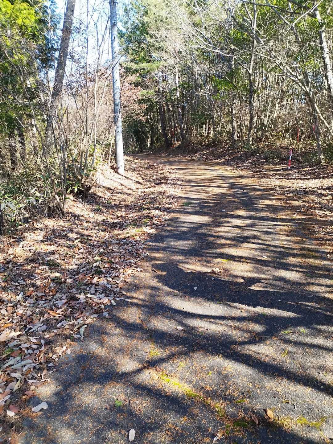 広くて昔は車が走れてた道のような？