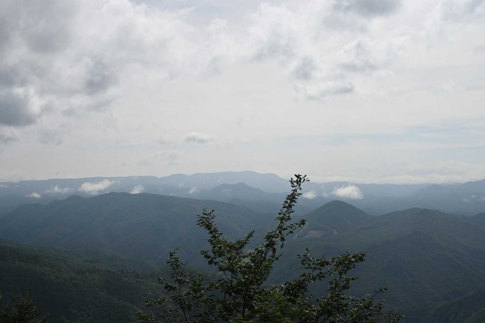 三岩岳 往復コースの写真