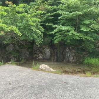 水とのふれあい広場