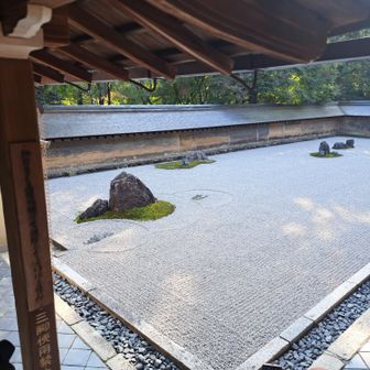 晴れの国の雨男