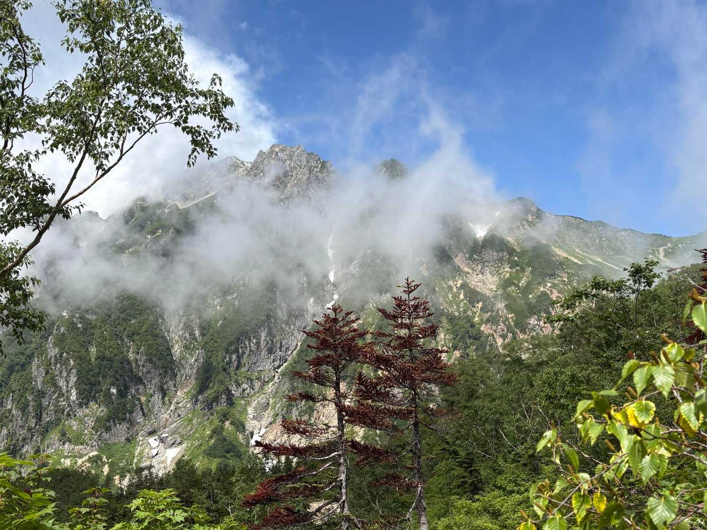アルプス平〜遠見尾根〜五竜岳 往復コースの写真