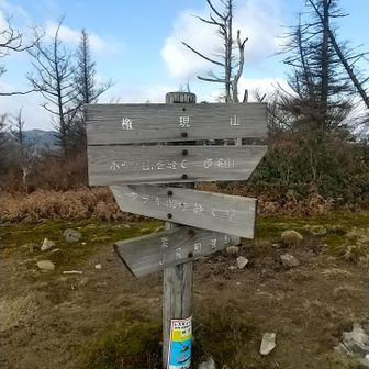 この先に行っても三角点も表示も見当たらず。