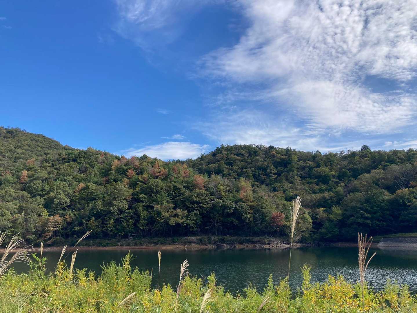 藍本駅-虚空蔵山登山口-虚空蔵山-八王子山-大谷山-草野駅 縦走コースの写真