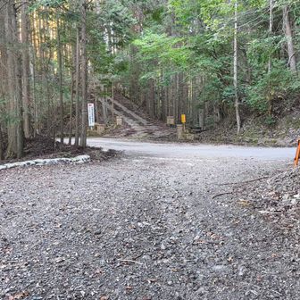 登山道を降りきると、しばらく林道歩きが続きますが、この分岐では舗装路を右手に進みます。私は左にしばらく進んだせいで大幅な体力ロスをしてしまいました。左手は下り、右手は登りです。下山中だからこのままずっと下りが続くと思い込んでいたせいです・・・😫