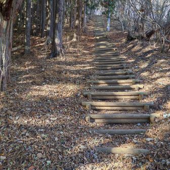 なんと階段シゴキ！