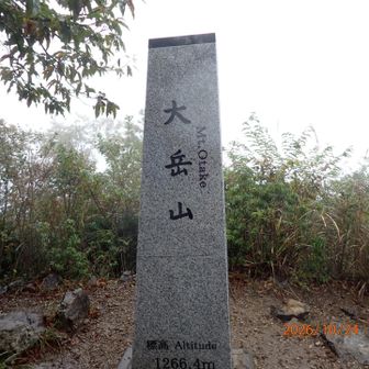 大岳山山頂
雨が強く個人の山頂写真なし（全員の集合写真のみ）
傘を差しながらの昼食