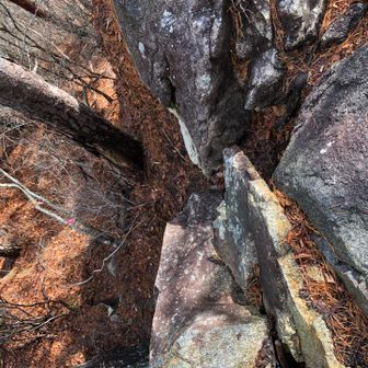 絶壁😱

天気が良くなってきたので周回することに☝️👌🎶
美晴台まで行くのにここ下りないと…
下り口探す👀