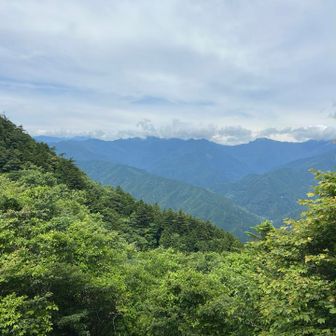 鉄塔のある分岐点から見る伊予富士、寒風山
笹ヶ峰は少し雲がかかってる