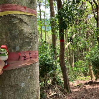 未踏のルートで本宮山へ。