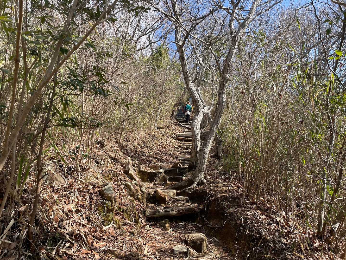 西半縦走の時は惨敗でしたが、今回は一つ目の山なので穏やかな気持ちで菊水山と向き合えました🤣楽しいわ〜って言えるように完全勝利目指します