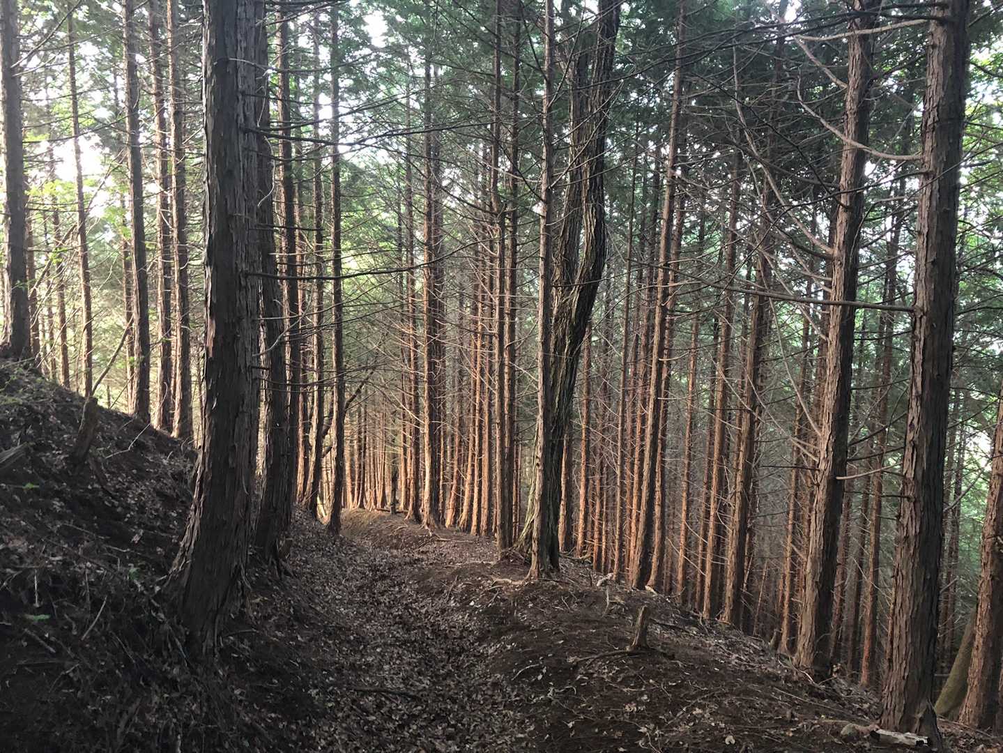 二十六夜山（下尾崎駐車場）の写真