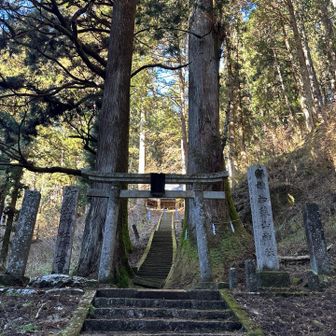 有り難う御座います。