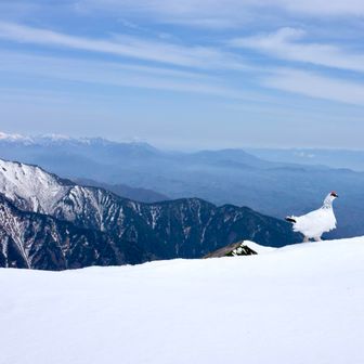 針ノ木岳と蓮華岳と雪渓🛷 / つかっちの登山データ | YAMAP / ヤマップ